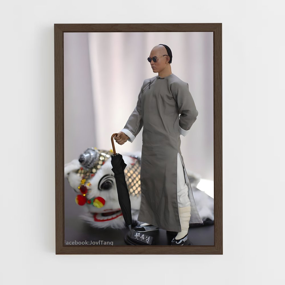 Poster La Poupée Sous La Pluie – affiche Kung Fu (vue 5)